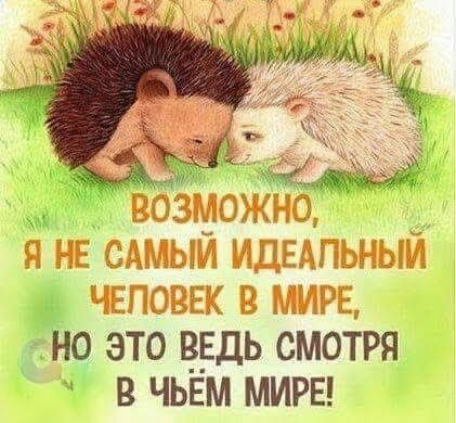FB IMG 1775150466672 (1)