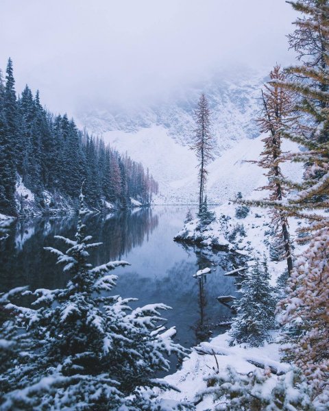 file_101871491