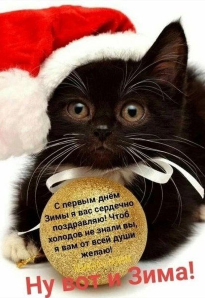 file_95191698