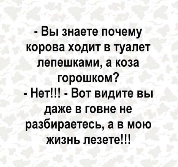 file_100338382