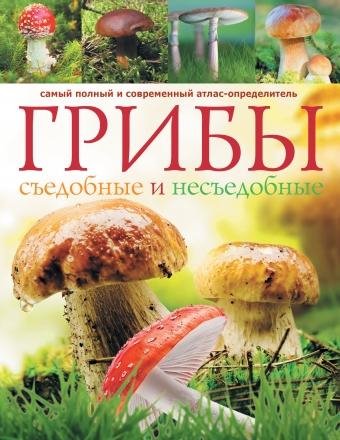 Грибы. Сьедобные и несьедобные