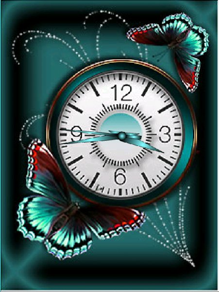 Butterfly