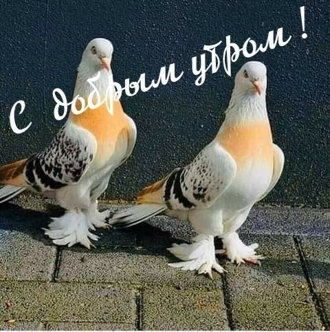 file_92612840