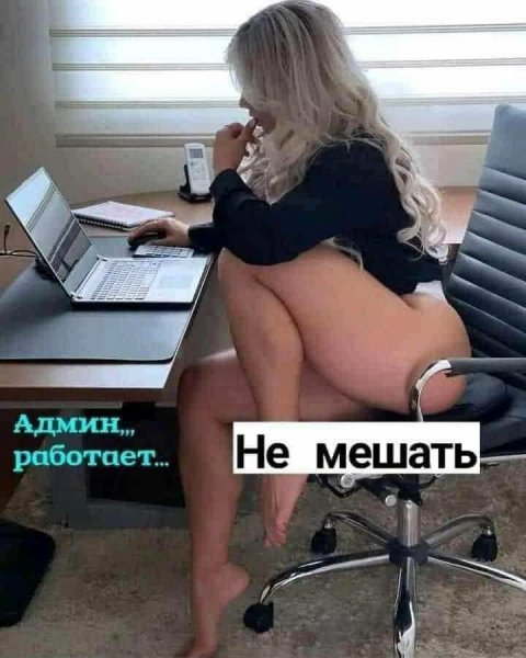 file_103370112