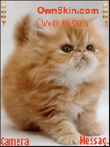 theme5372 1