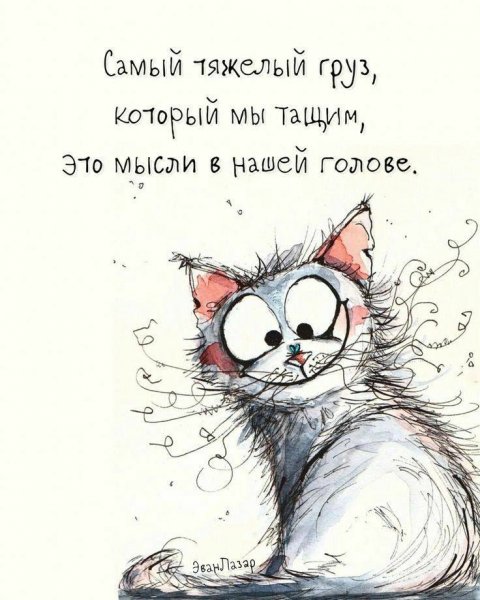IMG 20241130 124057 976