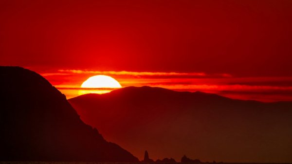 file_96497887