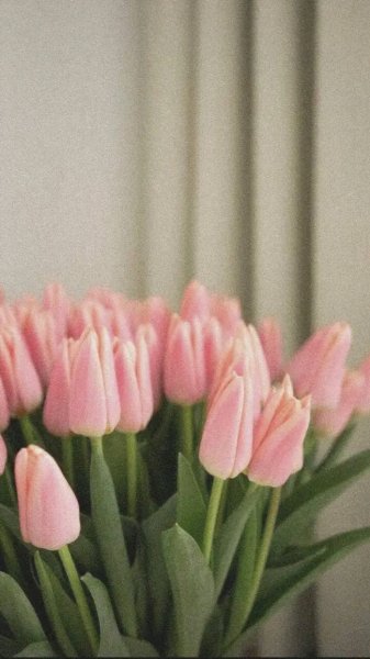 file_96307112
