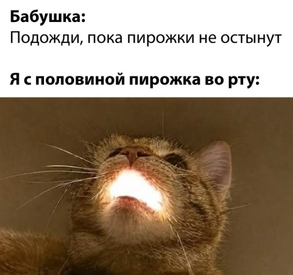 file_103205926
