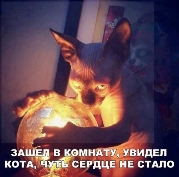 4OlDTUuuJgo
