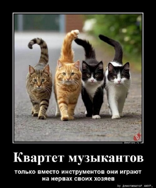Квартет