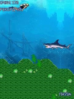shark attack 360x640
