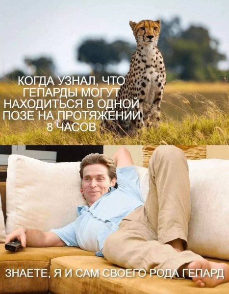 FB IMG 1751709357698