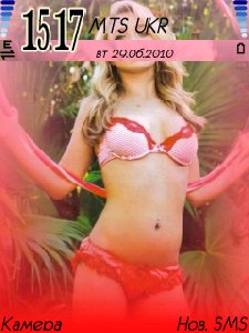 hpanettier royr1t1l