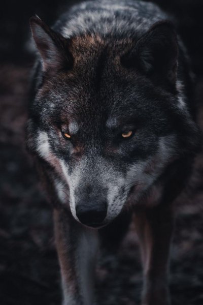 E2e1052322a0928155d02ca1eedf76b7