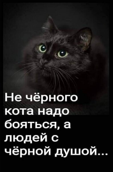 IMG 20210615 135816