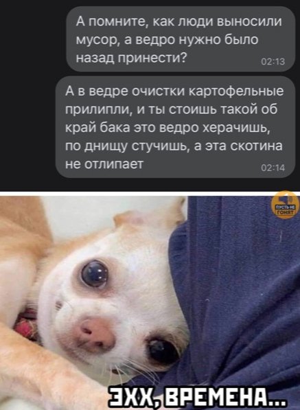file_103132404
