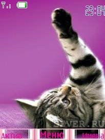 whiskas