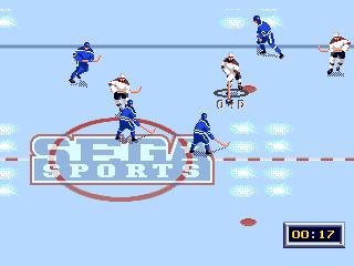 NHL All-Star Hockey 95