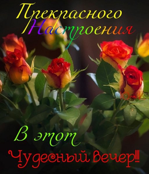 tINAJwHd8po