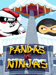 Pandas vs Ninjas Eastern Snow