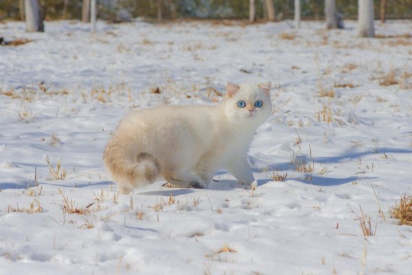file_90192363