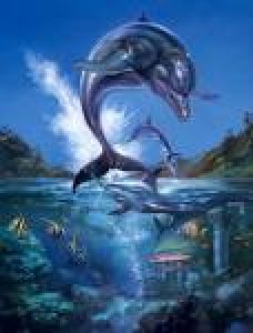 ECCO The Dolphin (J)