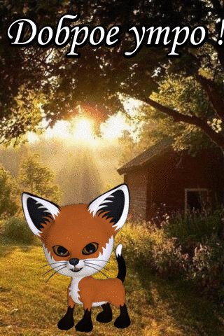 file_77957600
