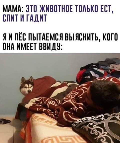 file_102413523