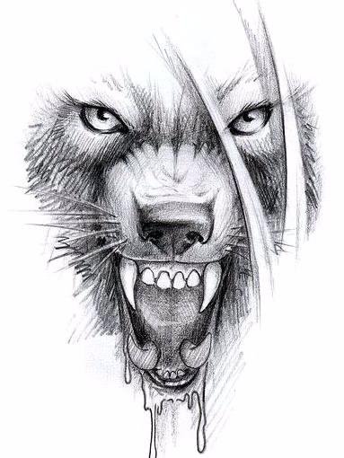 Volk
