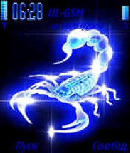 Scorpion