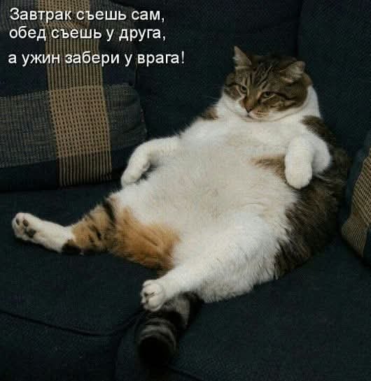FB IMG 1771695494865