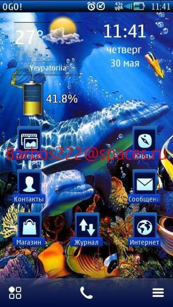 Dolphin
