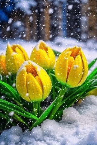 file_95702527