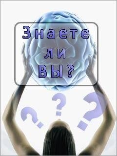 znaetelivi3lite