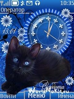 black-cat-by-nz