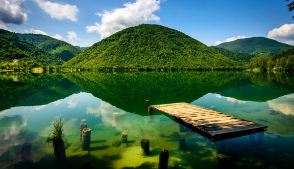 Beautiful Green