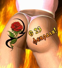 file_31478213