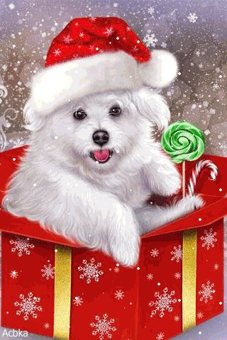 file_75161729