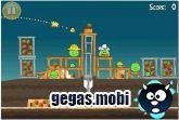 tmp 31764-gegas.ru angry birds mult-1905
