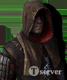 armor of assassins