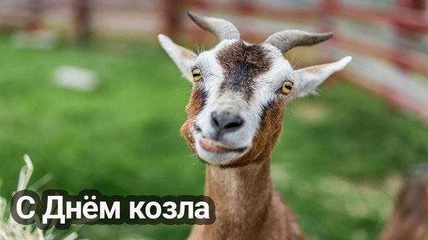 file_94850109