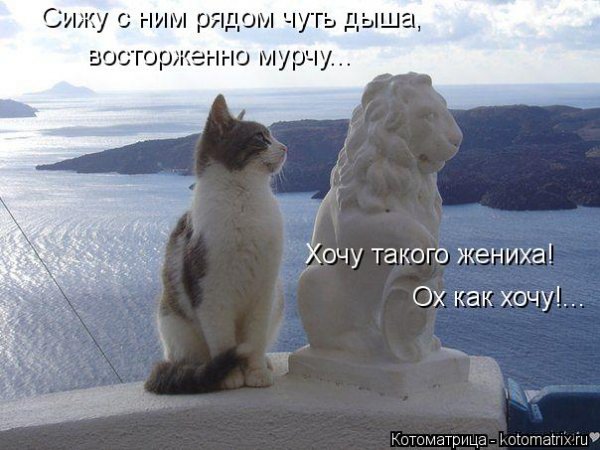 file_90708784
