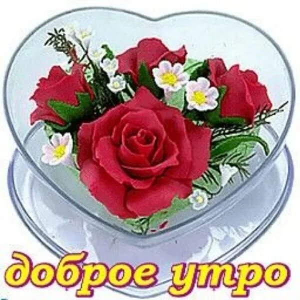 file_93819581
