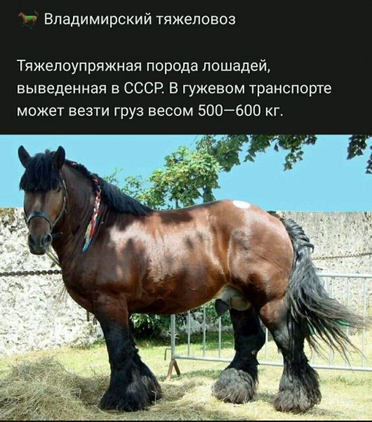 file_86487679