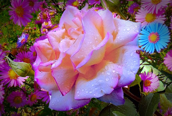 IMG 20200220 122048