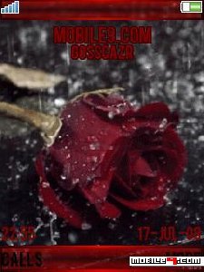 rainrose cbqp12m2кр.роз.аним