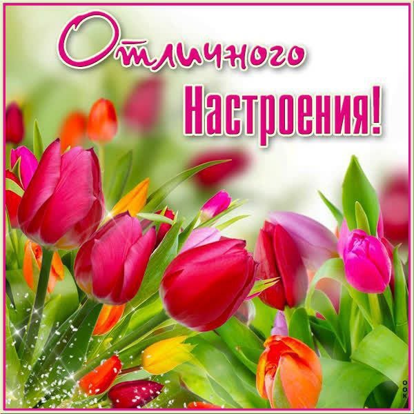 file_95103557