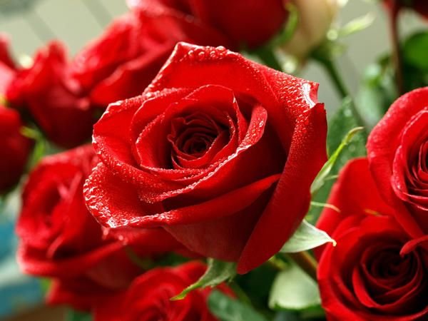 5a00e8f3464f935ab74f6cec07bc96af