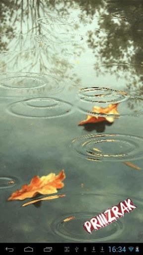 Rain v1.1